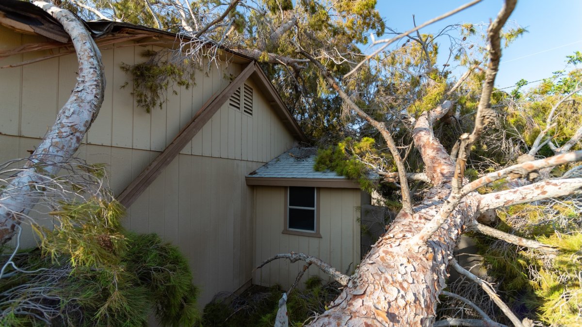 Large tree falls across the roof of a beige house.