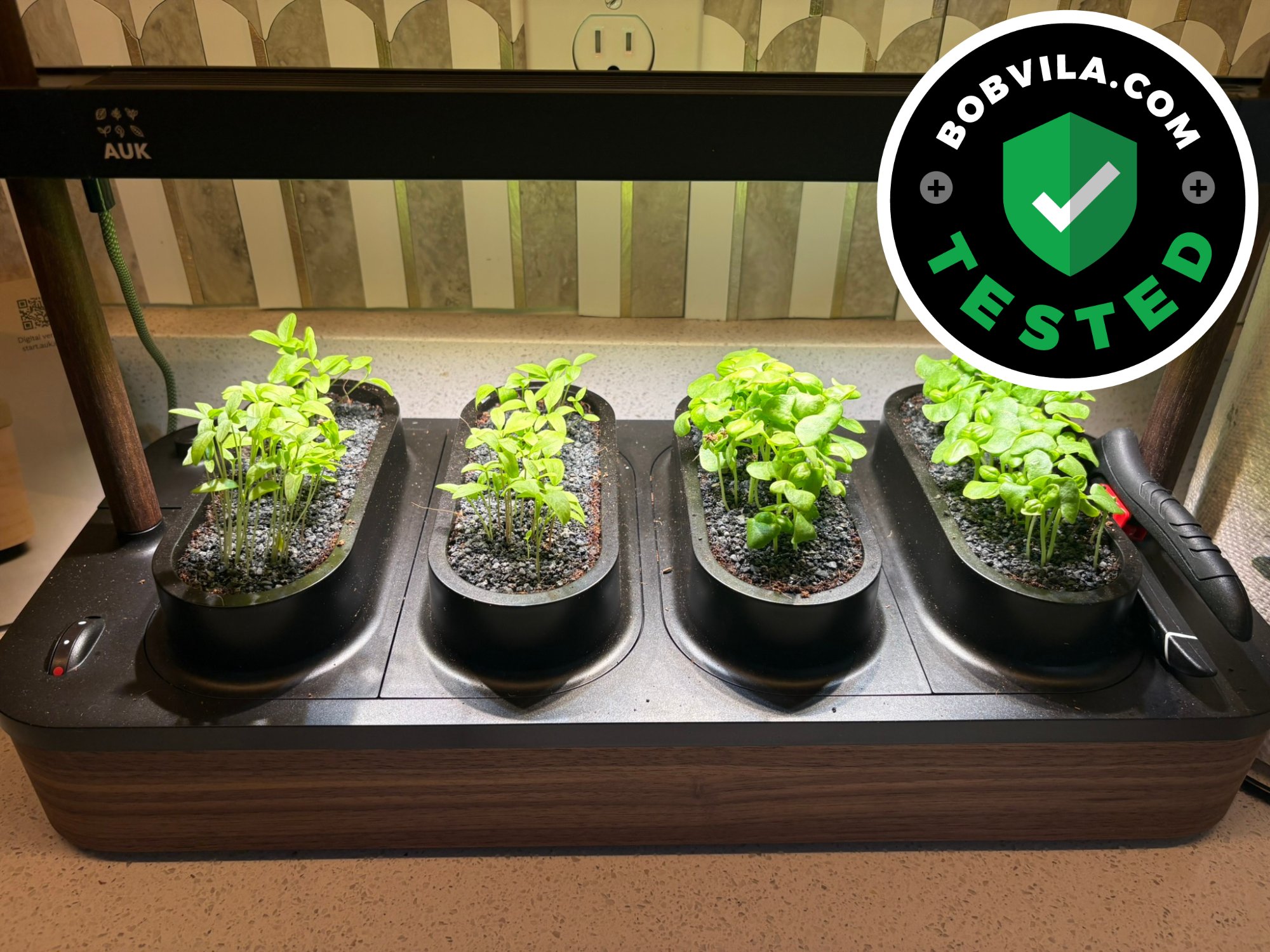 A Stylish Indoor Herb Garden With Nearly Zero Effort: An Auk Mini 2 Review