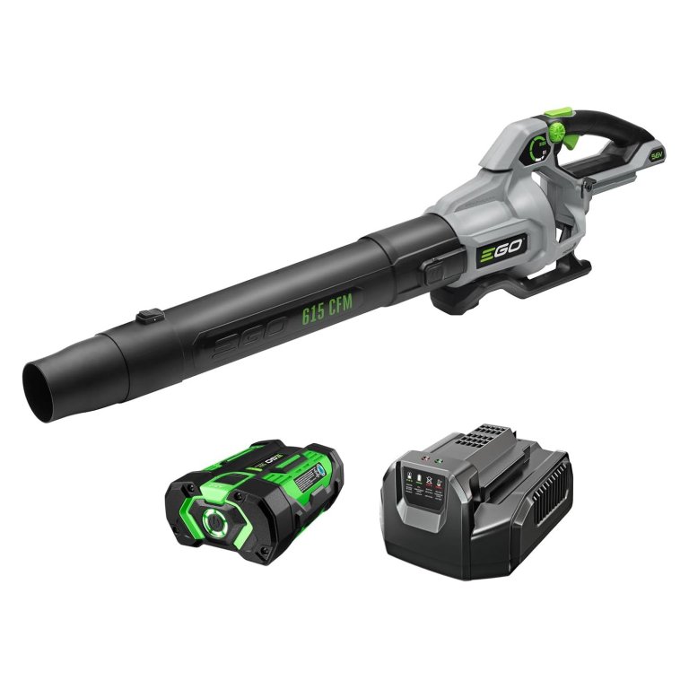 Early Prime Big Deal Days Yard Cleanup EGO 56V 615 CFM Leaf Blower