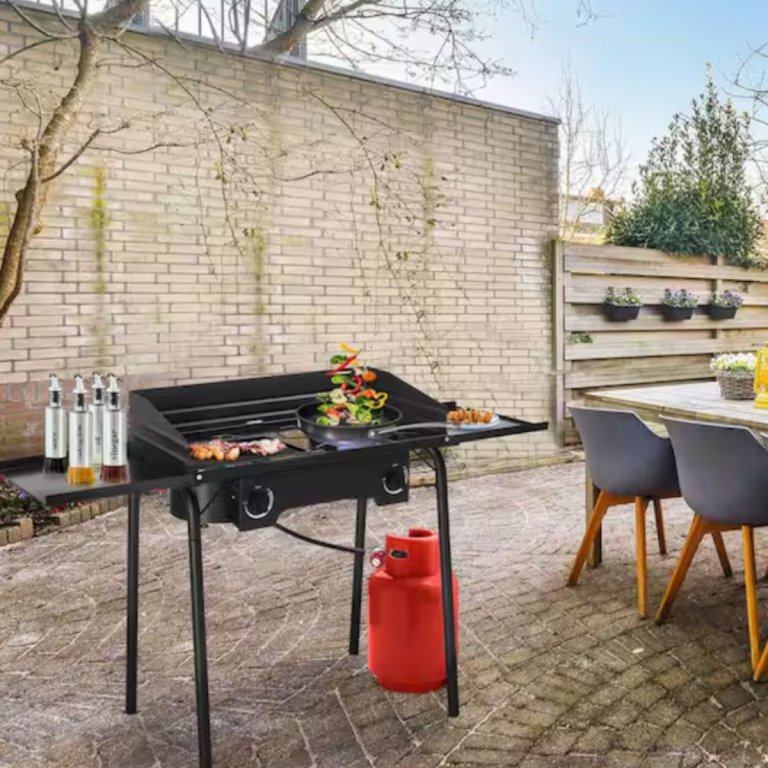 Karl home 2-Burner Portable Grill