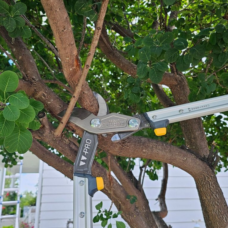 A product tester using the Woodland Tools Pro Series 32-Inch Forged Lopper to trim a tree branch