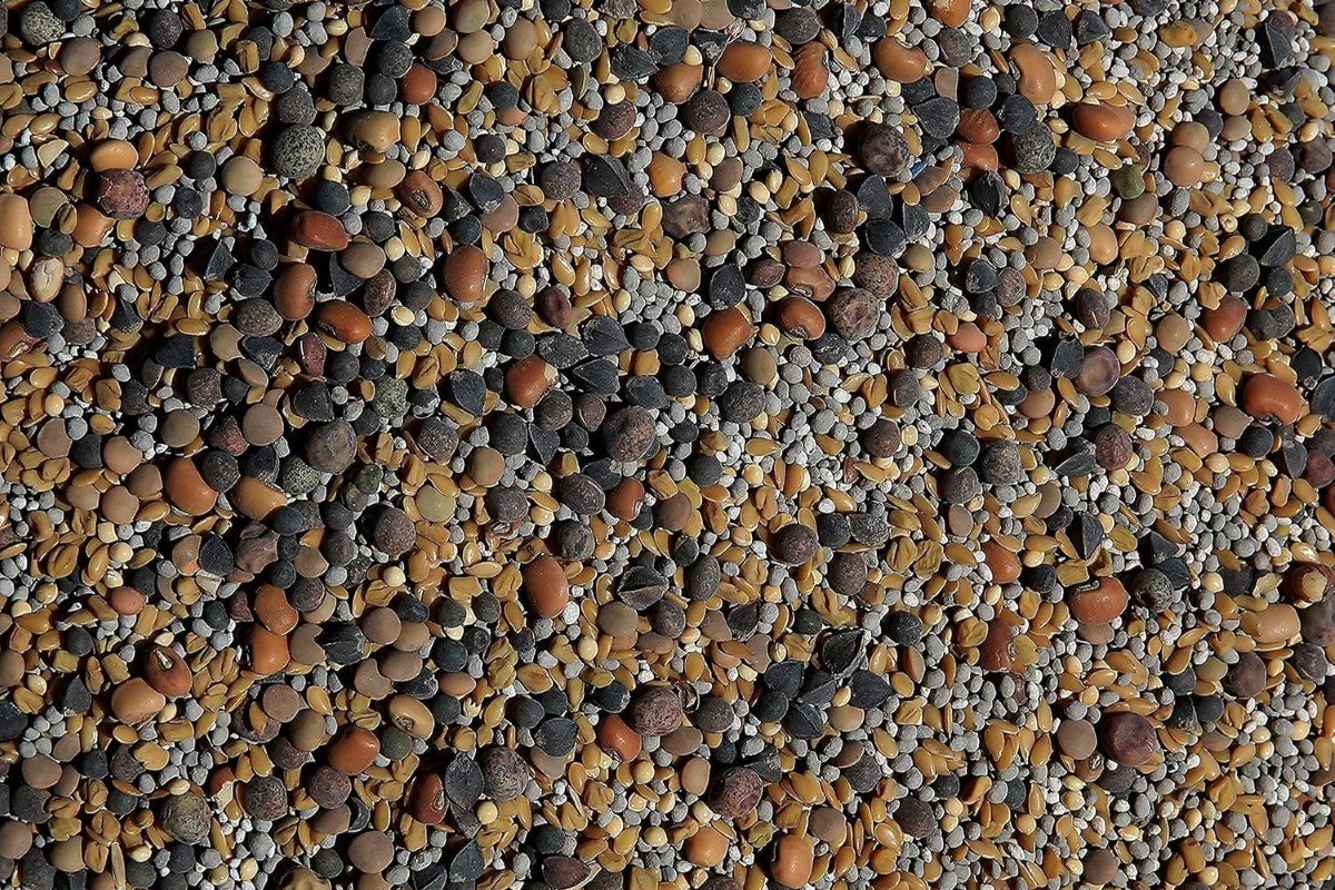 A large group of mixed no-till seeds.