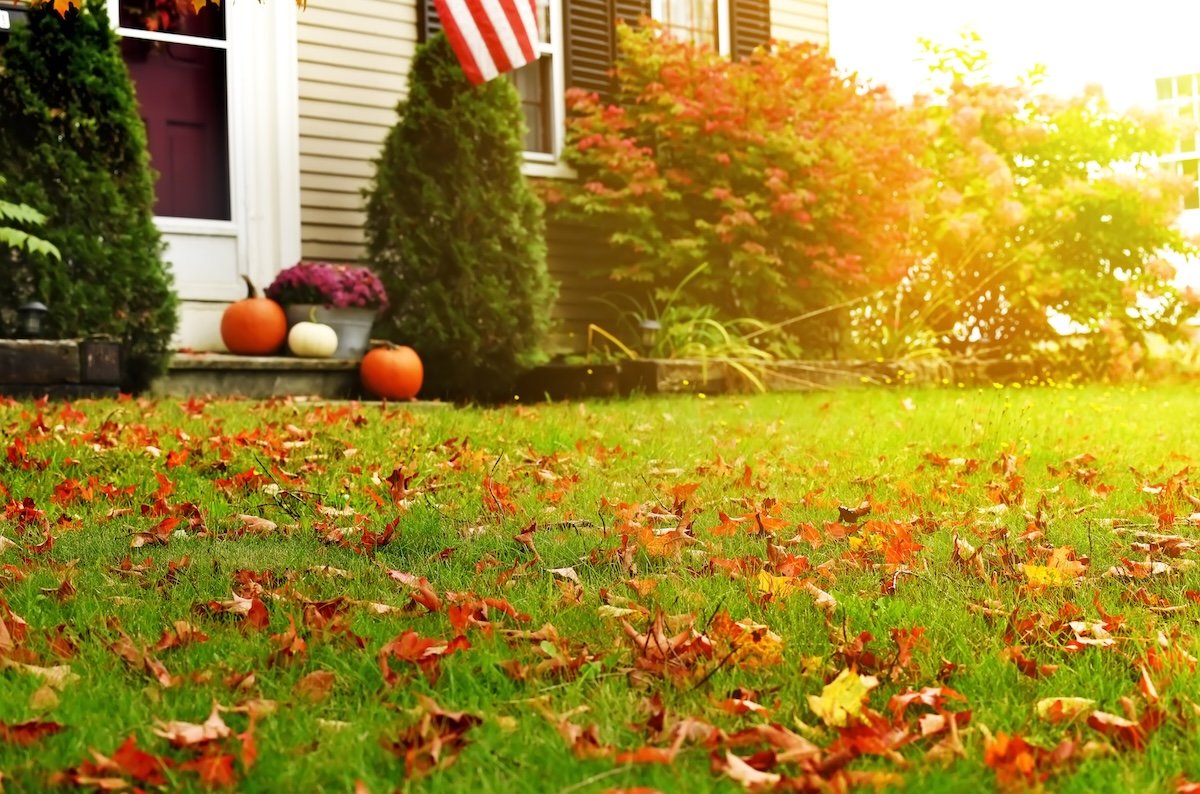 Home with American flag hanging over a yard with autumn leaves scattered and pumpkins by the door.