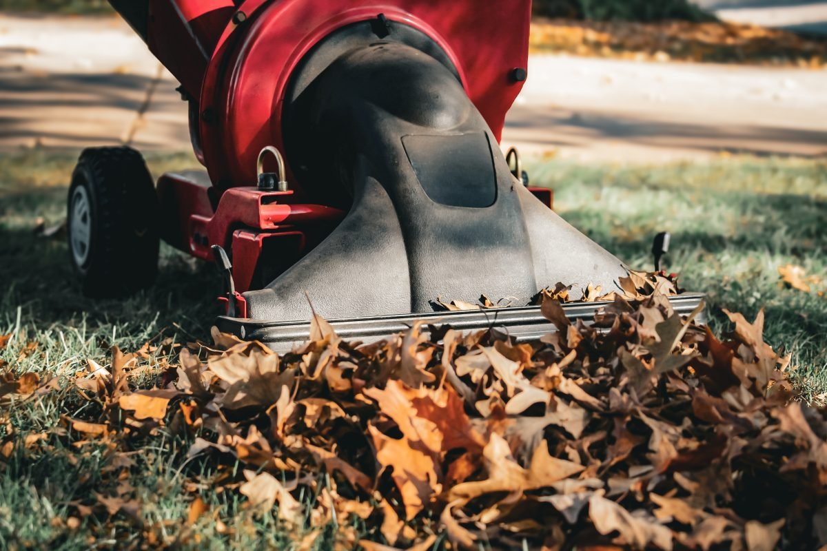 Leaf vacuum sucking up fallen leaves
