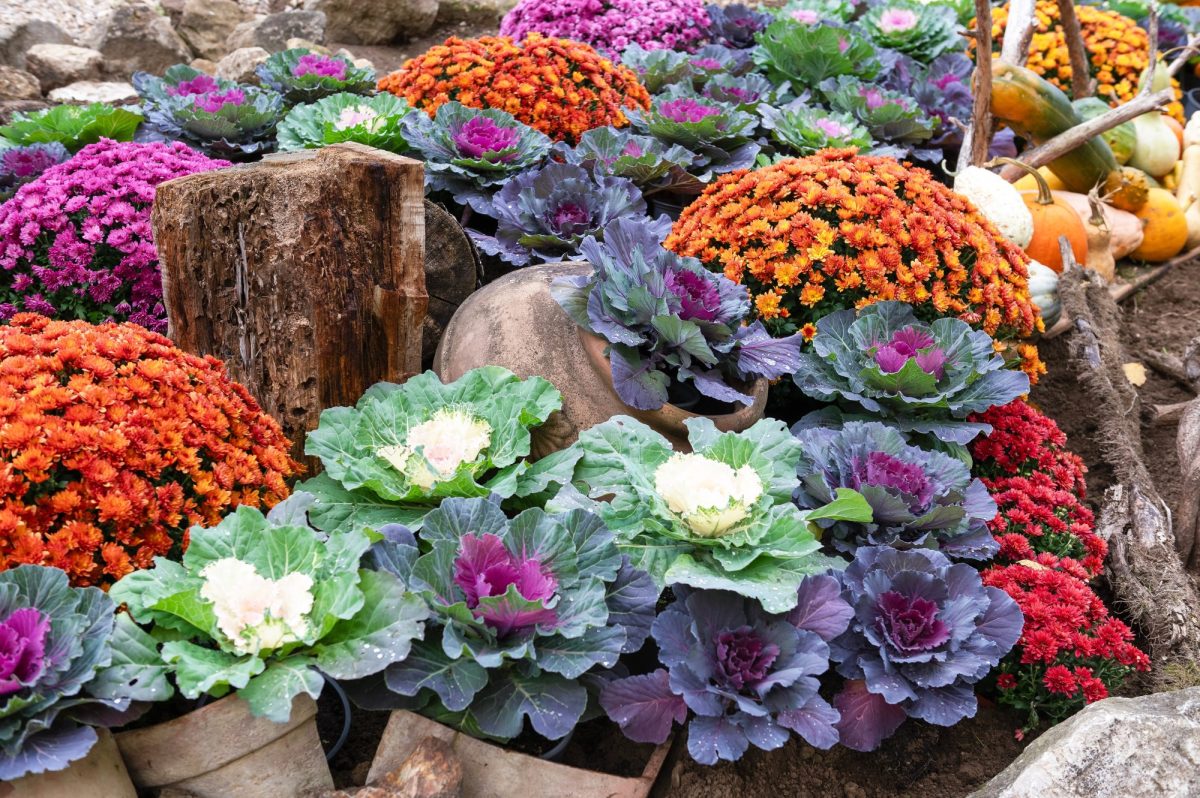 Your Garden Isn't Done Yet: How to Make the Most of September's Biggest Challenges