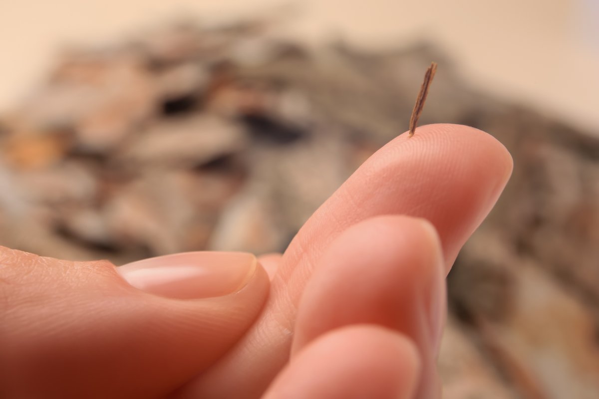 Closeup of a woman's finger with splinter on blurred background.