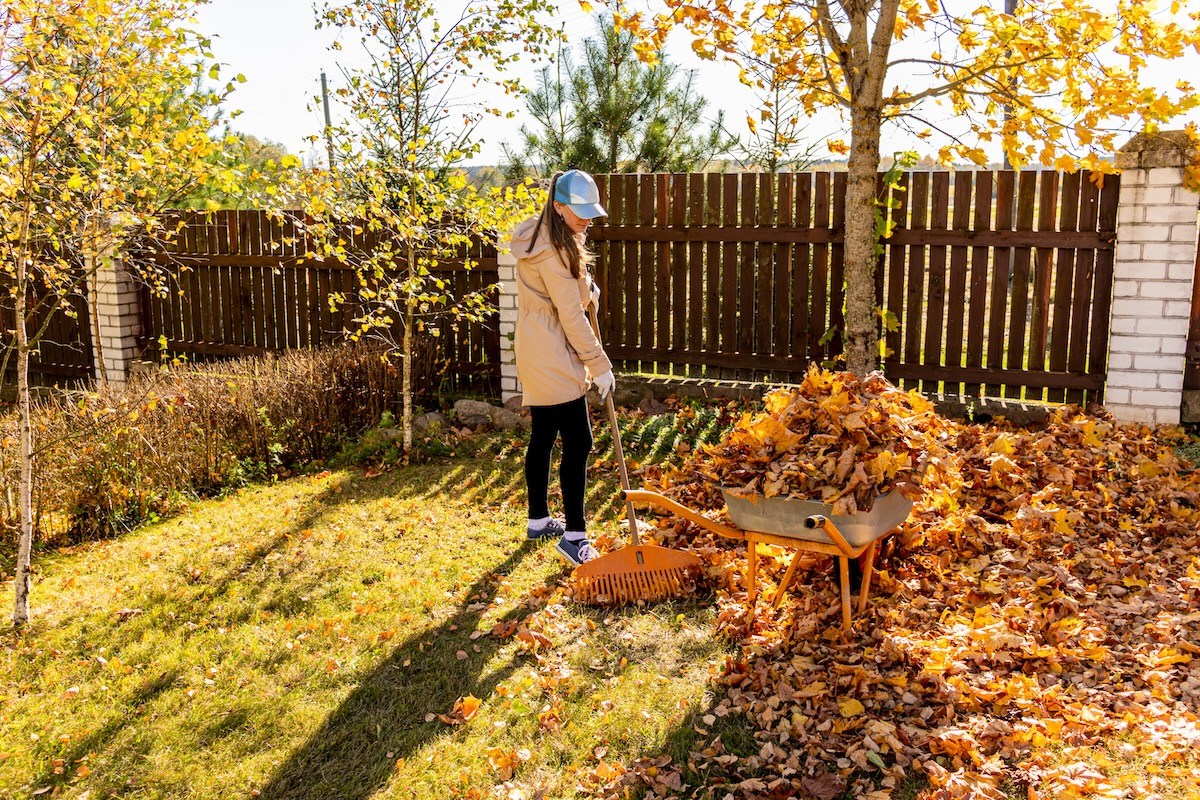 There’s a Better Way to Rake the Yard—Here’s What Really Works