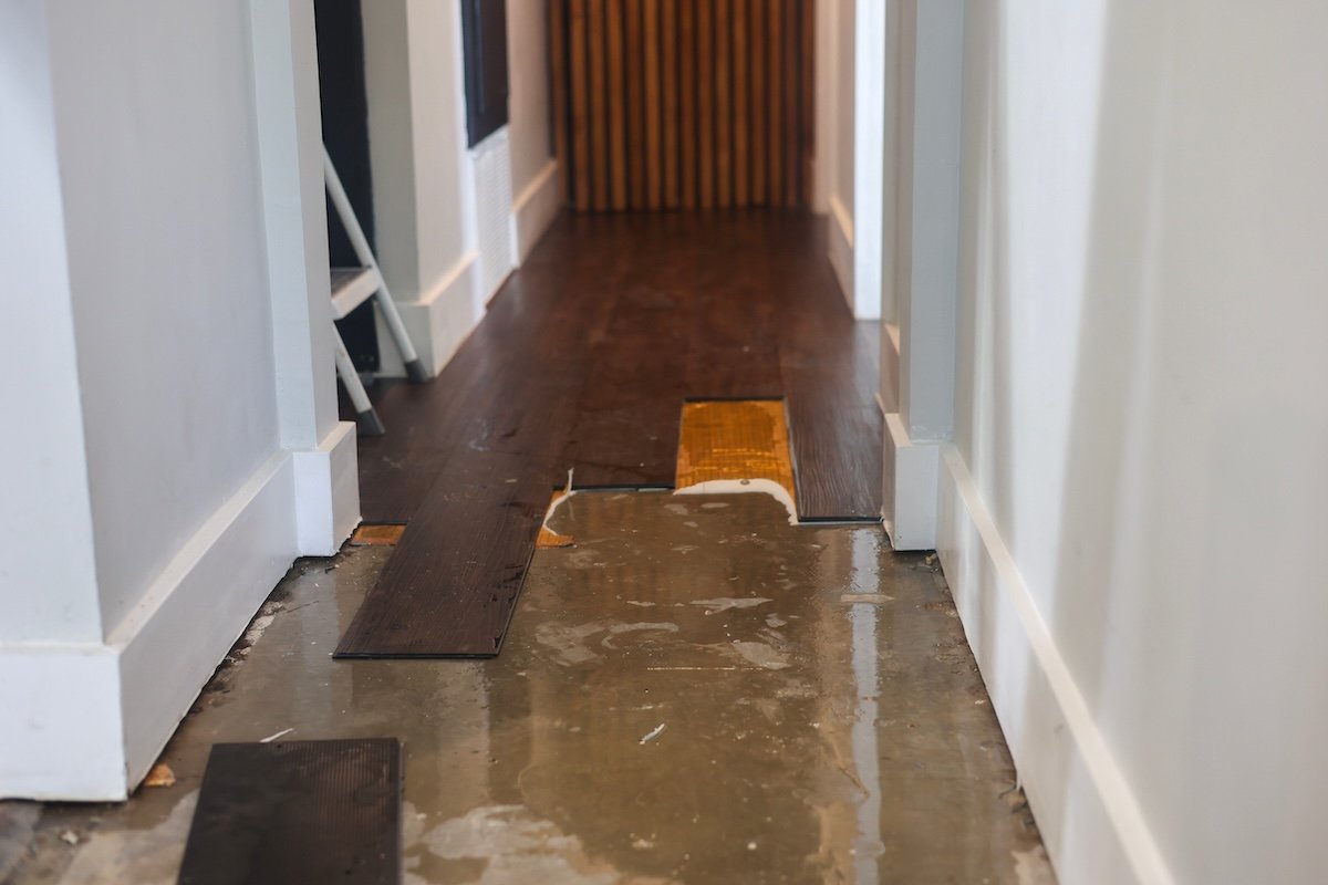 The Risks of Standing Water On Your Property—and Places It Might Be Hiding