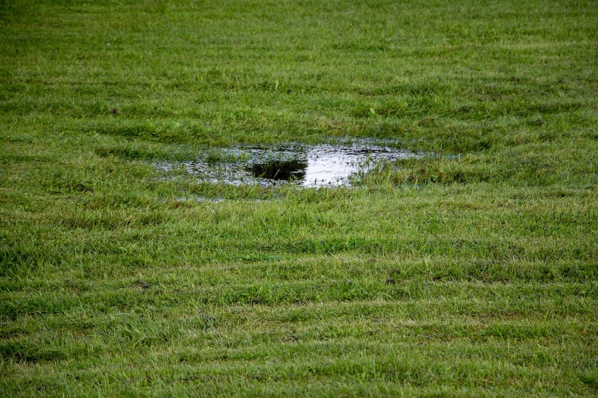 Sunken wet lawn from broken sprinkler head and leak.