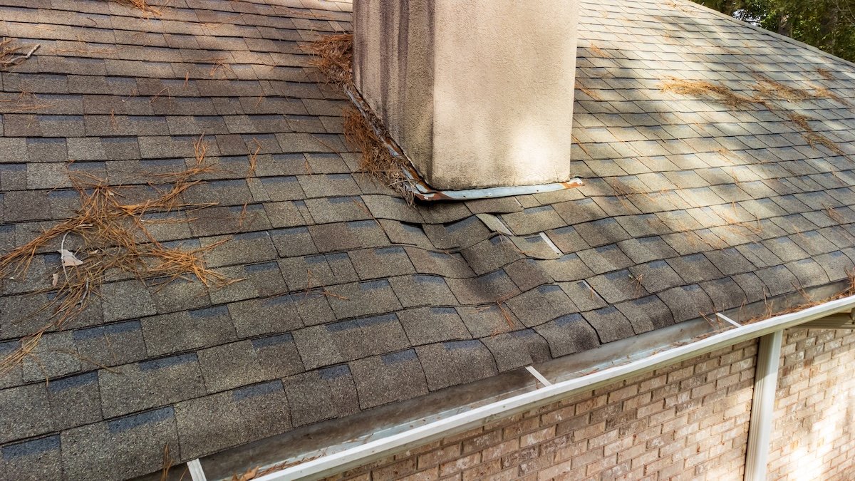The Risks of Standing Water On Your Property—and Places It Might Be Hiding