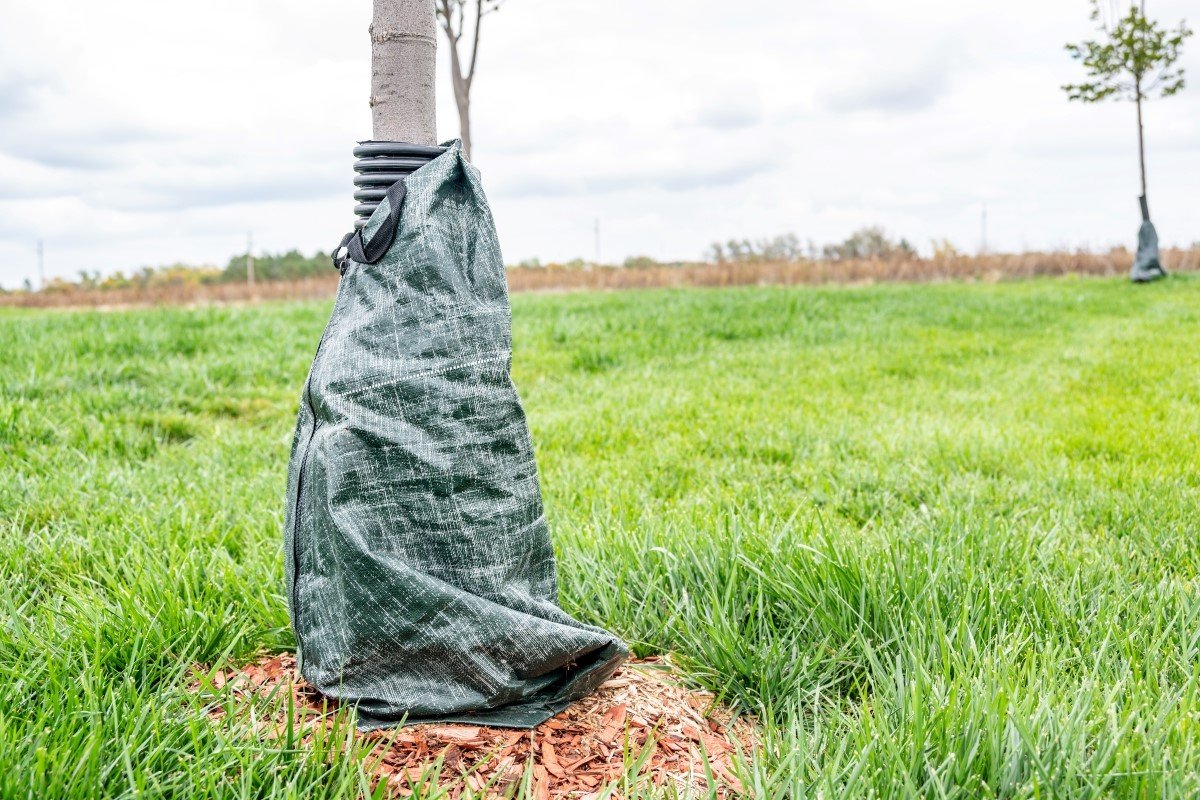 Protective tree wrap used to keep bark from being damaged on young plants.