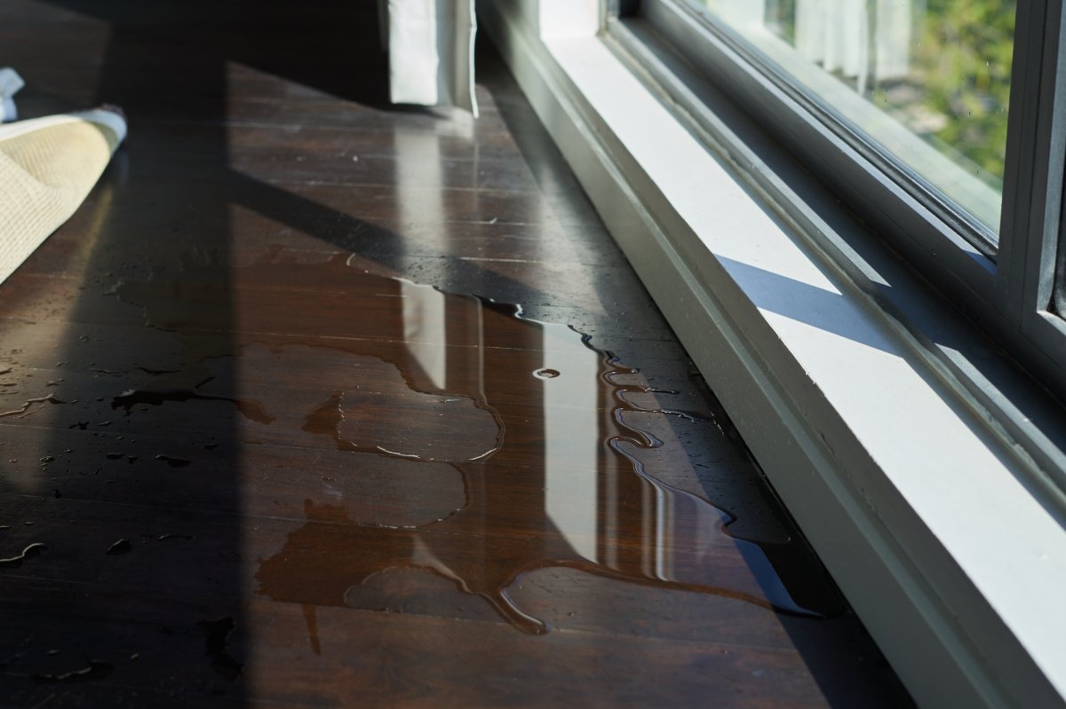 Water leak near a window on dark hardwood floor.