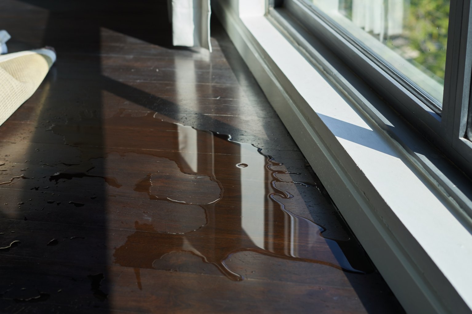 Water leak near a window on dark hardwood floor.