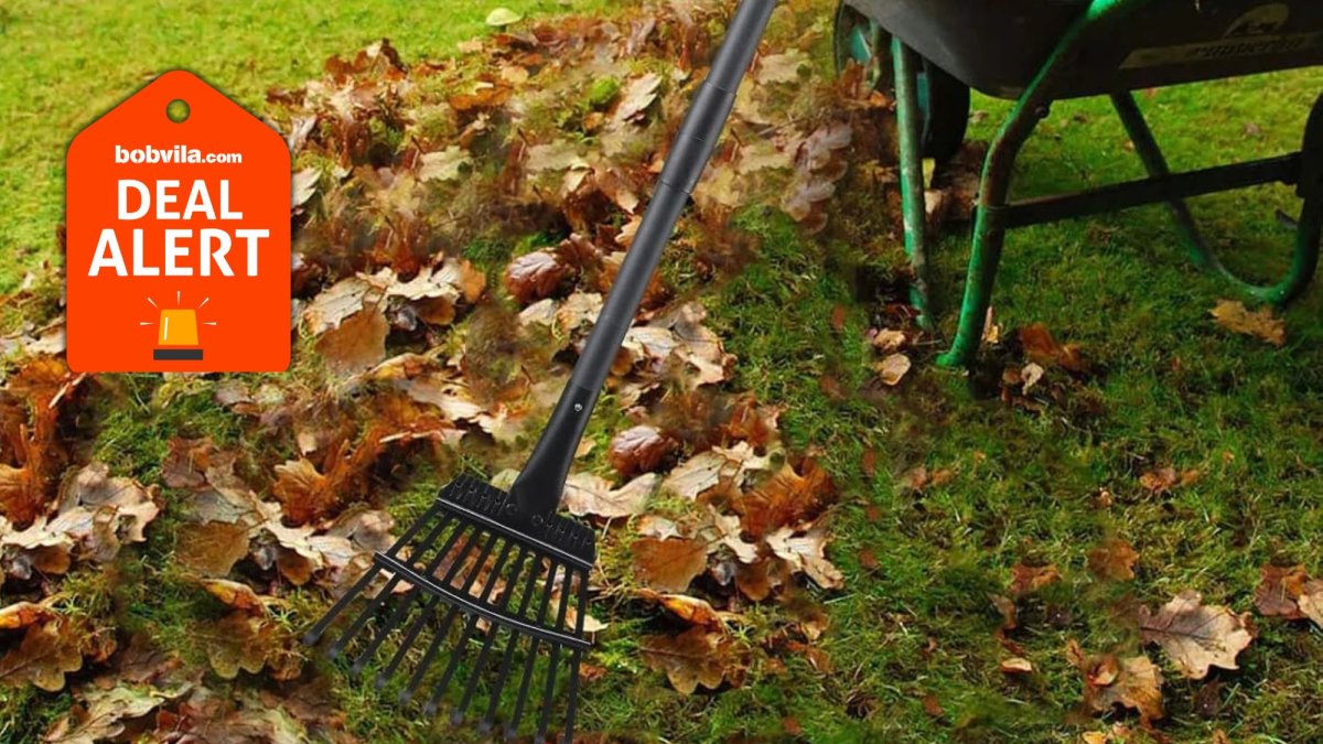 Amazon Is Clearing Out Yard Cleanup Tools for Fall—Save Up to 43% Off Fiskars, WorkPro, and More