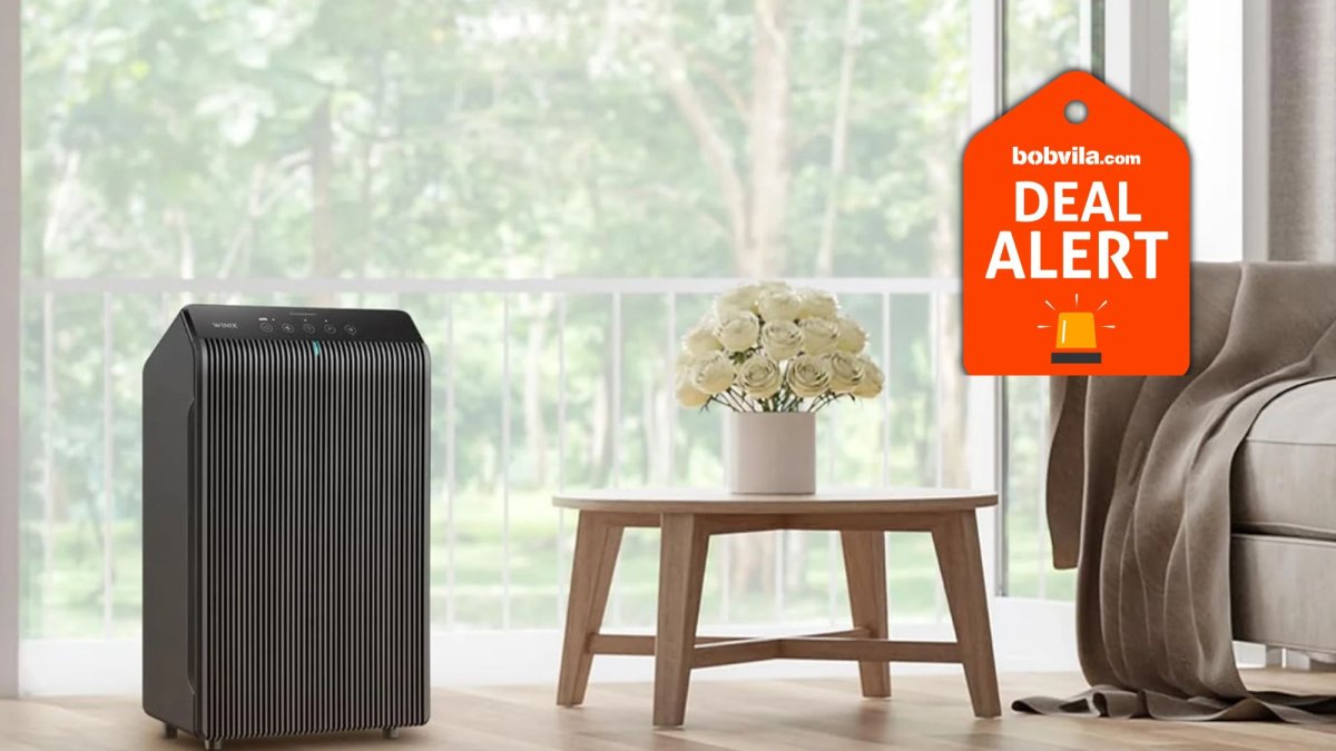 Amazon Is Clearing Out Air Purifiers During Prime Day—Up to 70% Off Shark, Levoit, and More