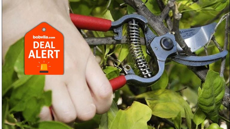 Amazon Is Clearing Out Hand Pruners, Loppers, and Pole Saws—Up to 57% Husqvarna, Corona, and More