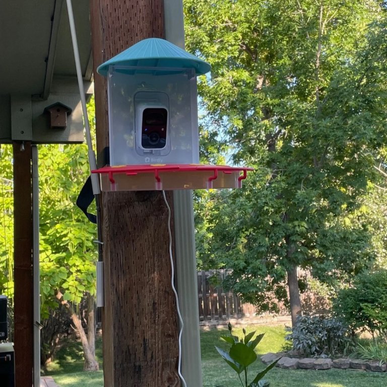 Netvue Birdfy Hummee Smart Hummingbird Feeder with Camera