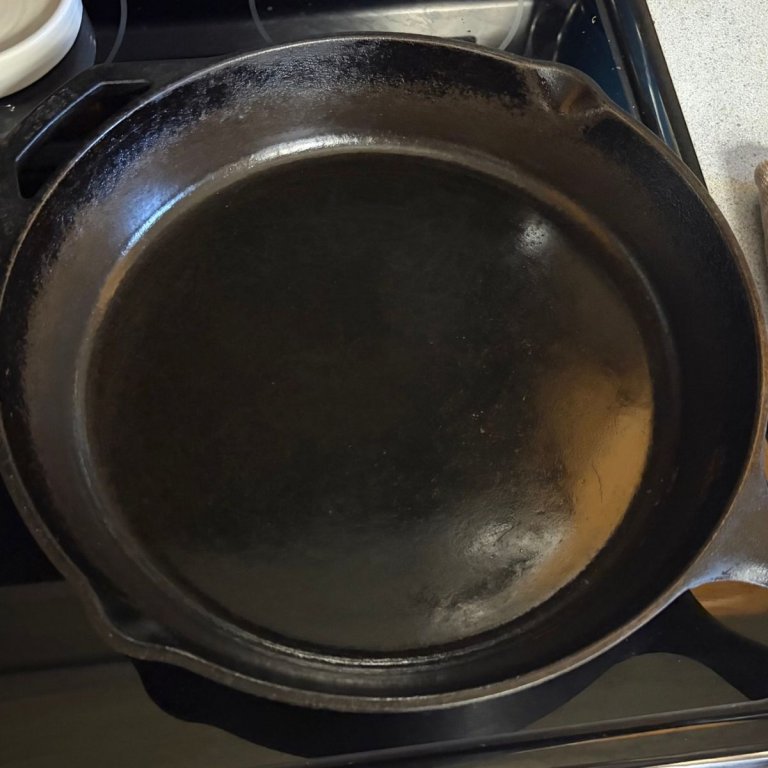 Lodge Pre-Seasoned Cast Iron Skillet