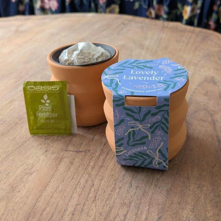 Modern Sprout Terracotta Planter