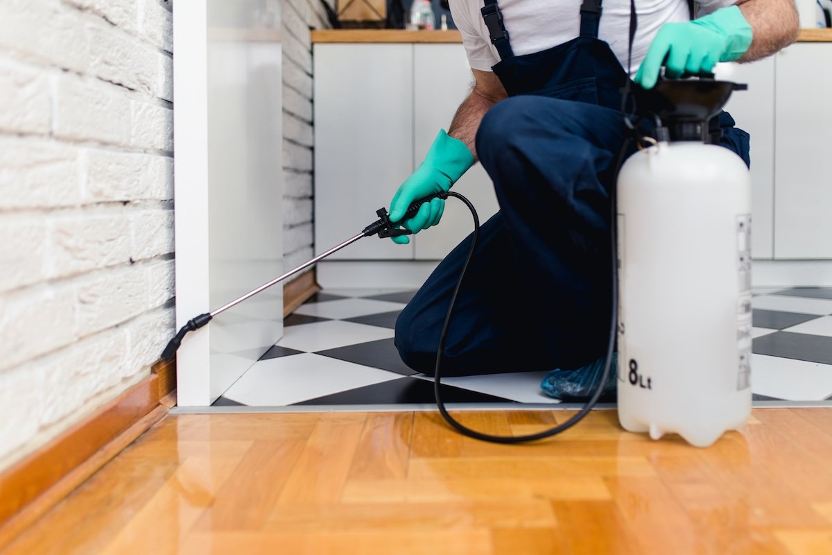 An exterminator spray for insects in a kitchen area.
