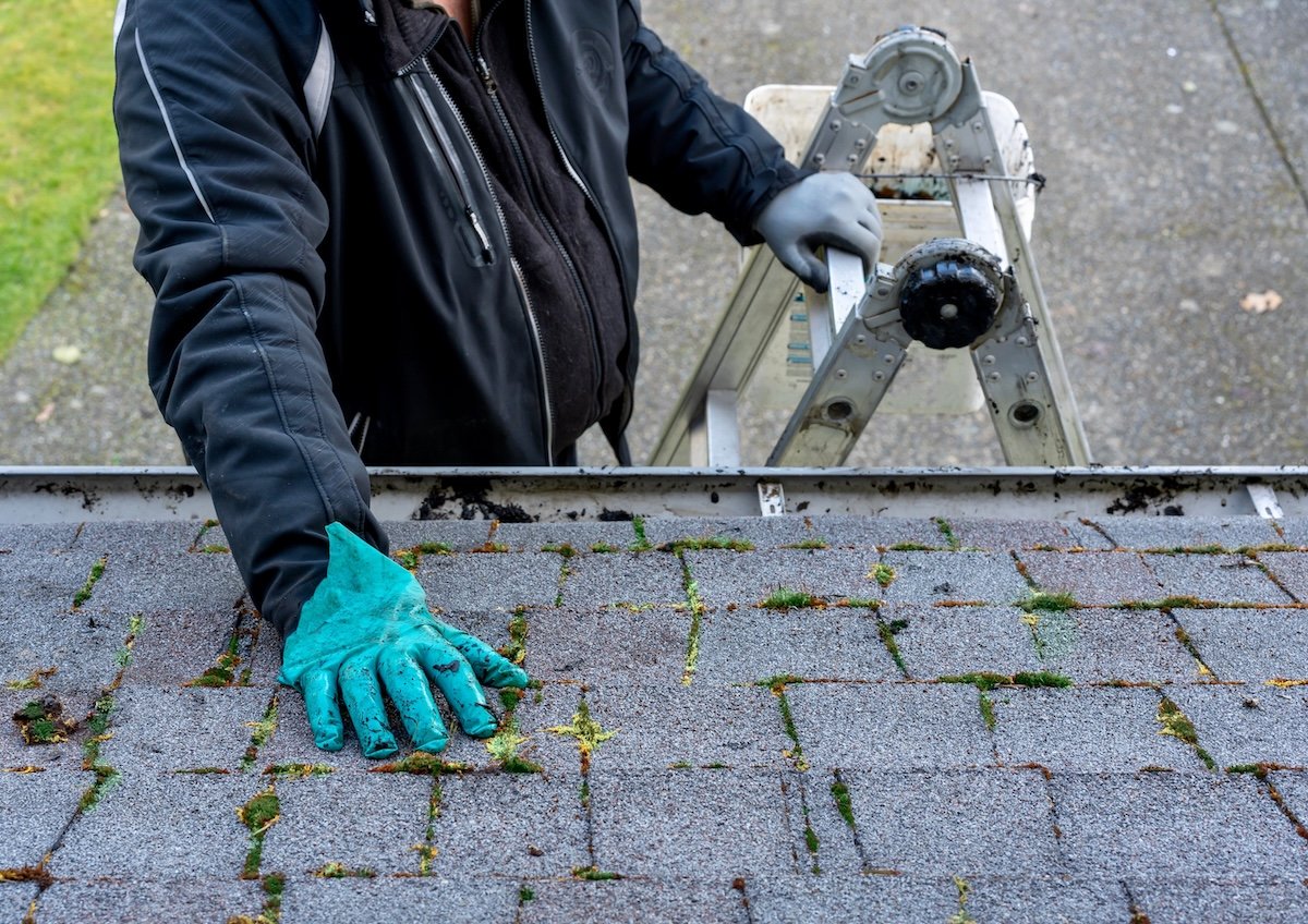 Man wearing teal gloves stands on a ladder at a roof, his hand on the roof.