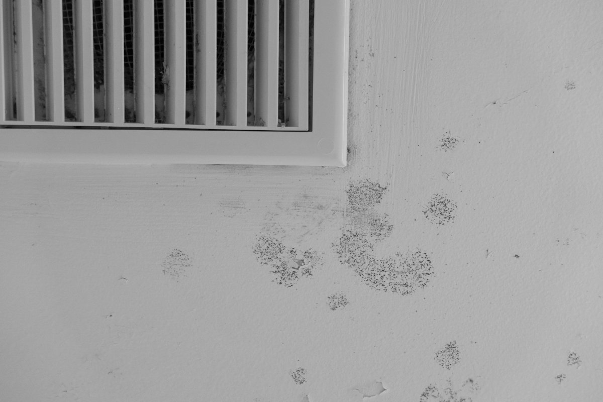 Louvered white air conditioner vent cover on a white wall with mold spots.