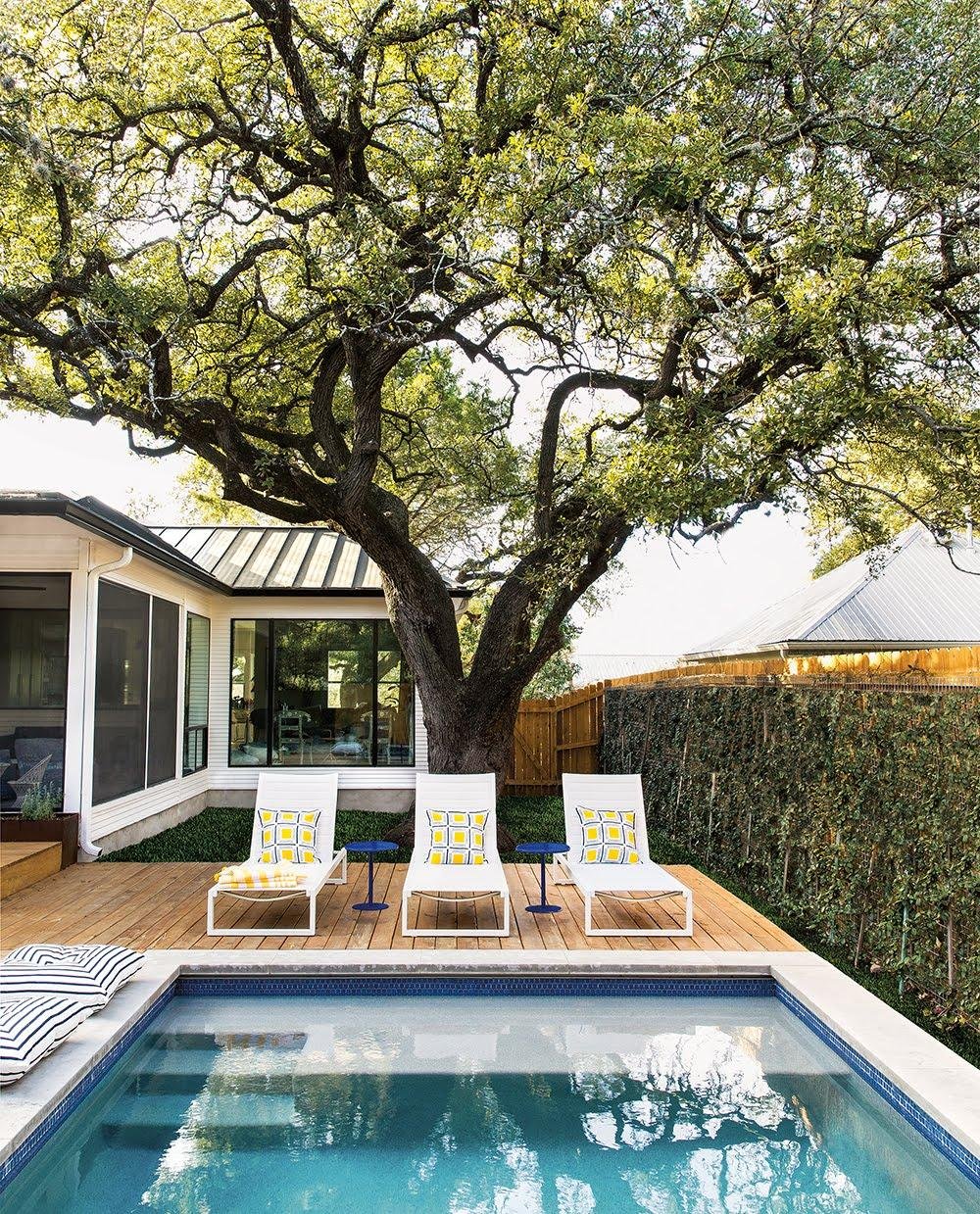 Backyard pool with lounge chairs under a large oak tree