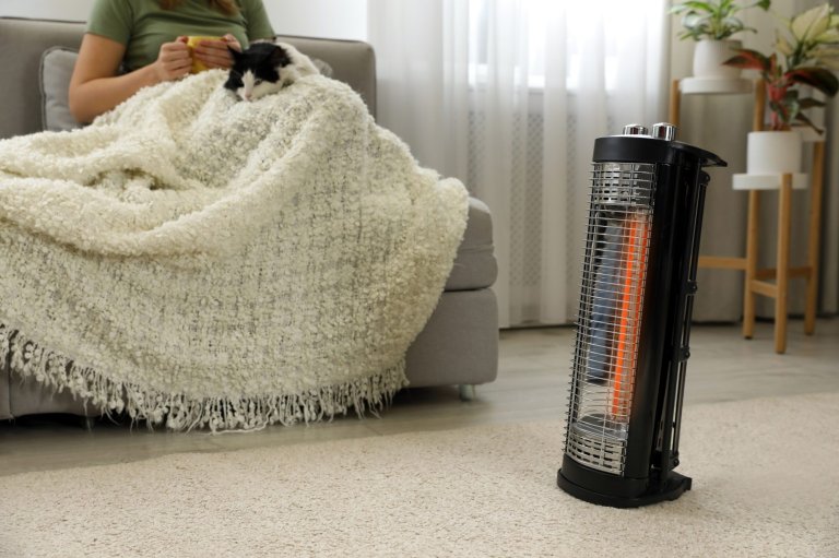 Woman sitting on a couch with cat and blanket warming up with a space heater