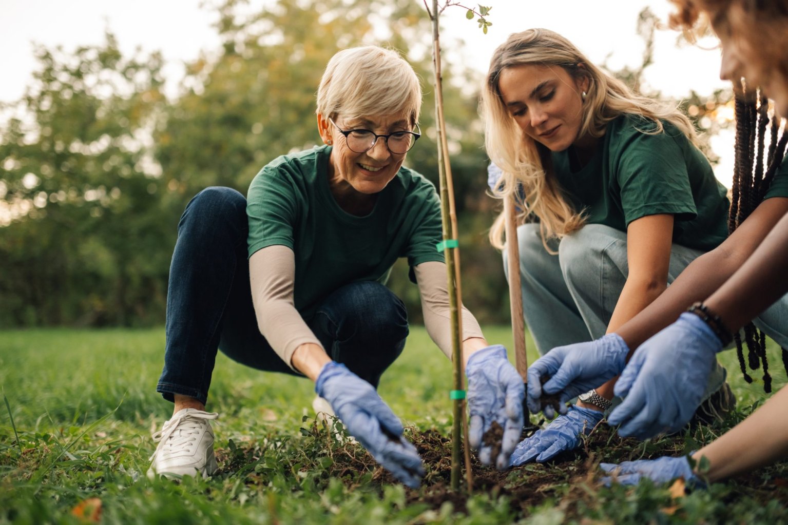 Three women wearing gloves work together to plant a tree.