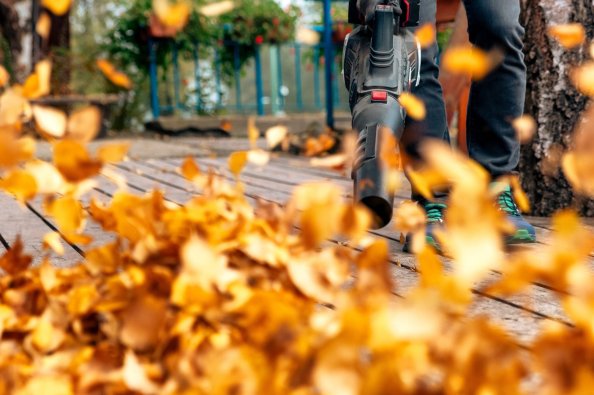 Close up of a person clearing dry yellow leaves from a wooden deck using a leaf blower.